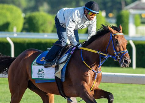 who won the pegasus world cup 2022.